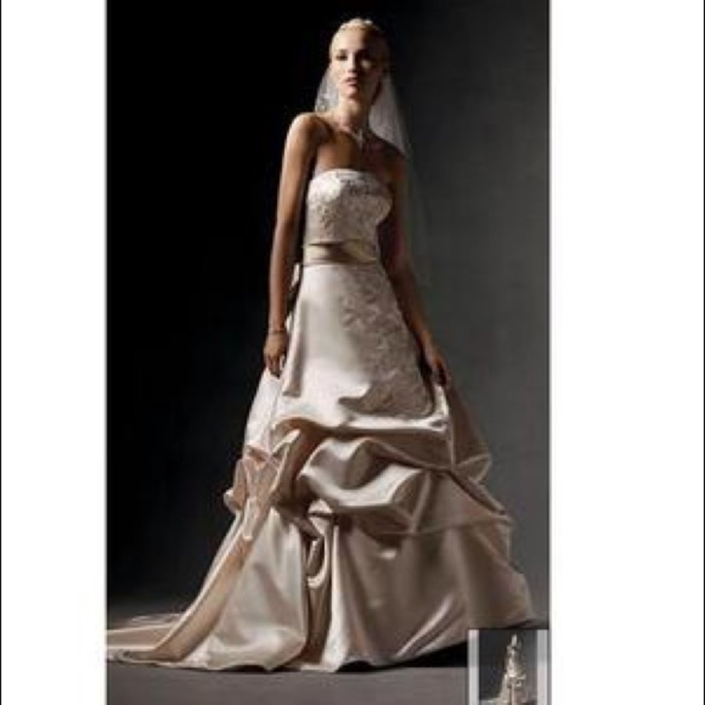 Oleg Cassini Wedding Gown & Veil